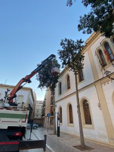 UNED